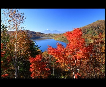 第48回（平成27年度）東京新聞賞の作品写真
