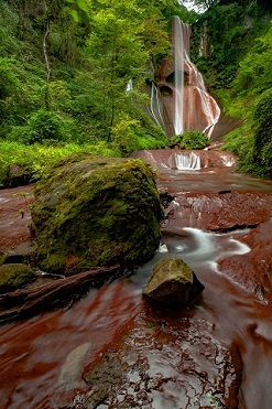 第53回（令和2年度） 草津町議会議長賞の作品写真