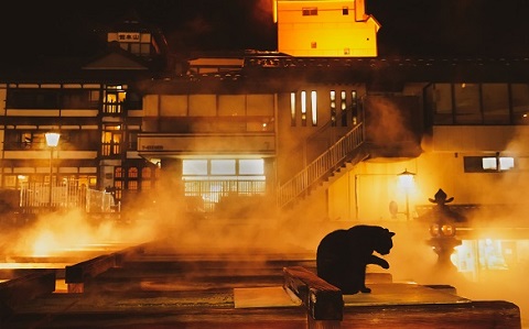 第54回（令和3年度） 草津町長賞の作品写真