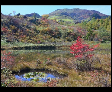 第48回（平成27年度）吾妻観光連盟会長賞の作品写真
