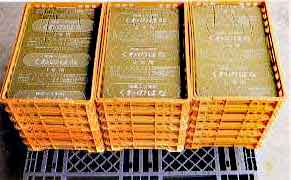 くわのはなの画像