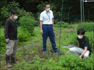 町役場担当と合同巡回の写真