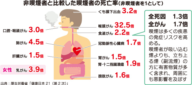 非喫煙者と比較した喫煙者の死亡率（非喫煙者を1として）のイメージ画像