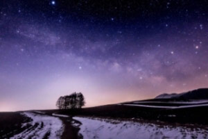 嬬恋村田代のカラマツ林の画像 嬬恋村田代のカラマツ林の画像