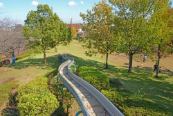 ふるさとの広場の画像 ふるさとの広場の画像