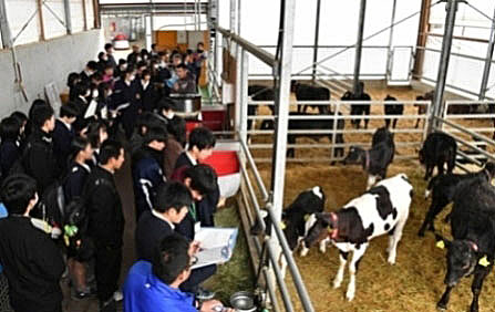 酪農の現場で説明を聞く参加者の画像 酪農の現場で説明を聞く参加者の画像