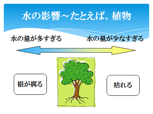 知って得するコーナーの画像2