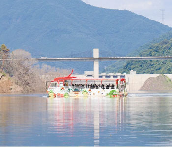 水陸両用バスの画像