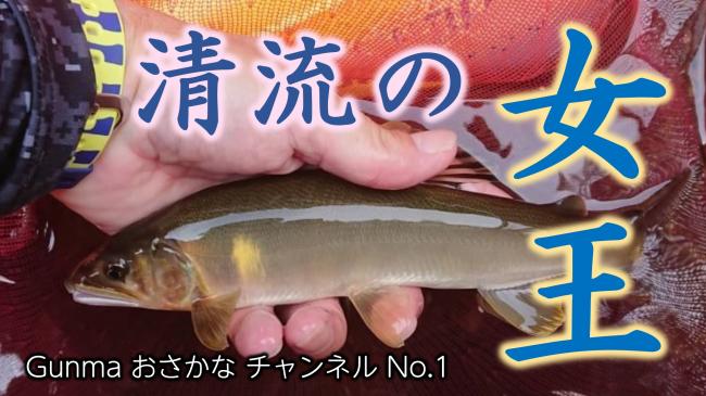 群馬のアユ釣り画像