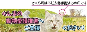 ぐんまの動物愛護推進へご支援くださいの画像