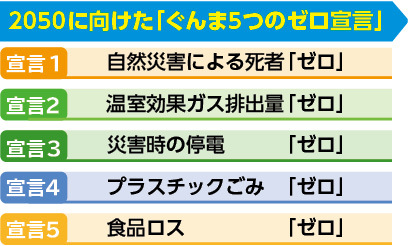 「ぐんま5つのゼロ宣言」の表の画像