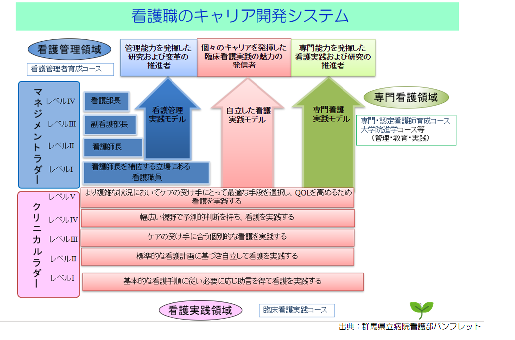 看護職のキャリア開発システムの画像