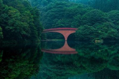 「碓氷湖の静寂」の写真