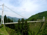 スカイブリッジ（上野村）の写真