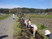 水路の泥上げの写真