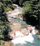 四万川の清流の写真 四万川の清流の写真