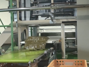 稚蚕人工飼料製造の写真 稚蚕人工飼料製造の写真