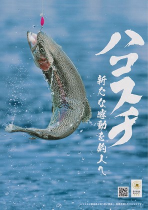 ハコスチのポスター画像