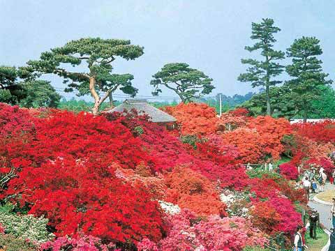 館林市・つつじが丘公園の写真