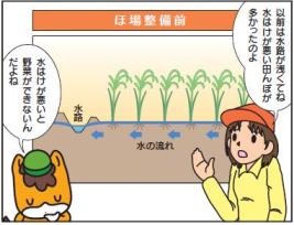 ほ場整備前の断面図：画像