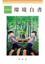 平成29年版環境白書表紙画像