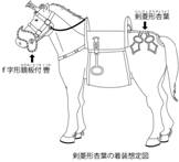 画像：剣菱形杏葉の着装想定図