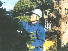 植木職の画像