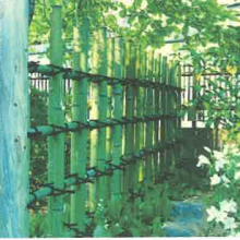 フォトギャラリーの画像1