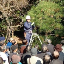 フォトギャラリーの画像2