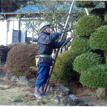 フォトギャラリーの画像3