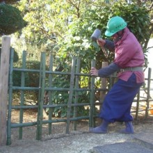 フォトギャラリーの画像5