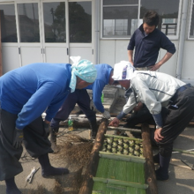 フォトギャラリーの画像6