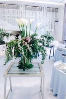 これからの夢の画像