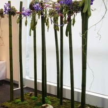 フォトギャラリーの画像6