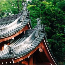 山口さんの鬼瓦としゃちほこ　（高崎市・少林山達磨寺）