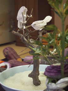 川魚をついばむ『カワセミの親子』の掻敷剥物の画像