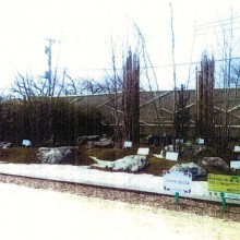 2008年第25回全国都市緑化祭・総合部門金賞　『静寂にして枯淡と、緑と、躍動、の庭』