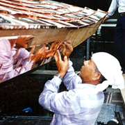 松田　計夫さんの画像