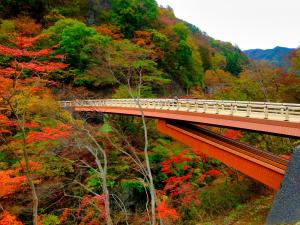 吾妻峡の画像