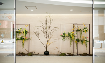 フォトギャラリーの画像3