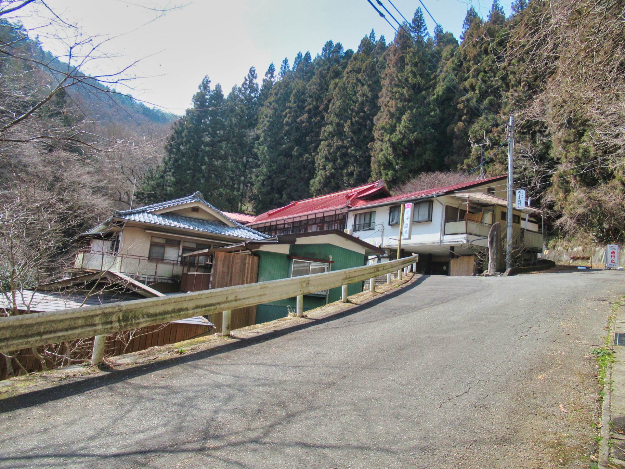 吾妻渓谷温泉郷 川中温泉 かど半旅館の画像1
