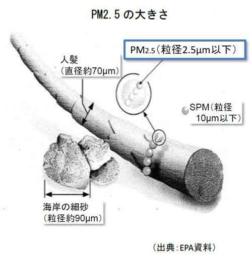 PM2.5の大きさ画像