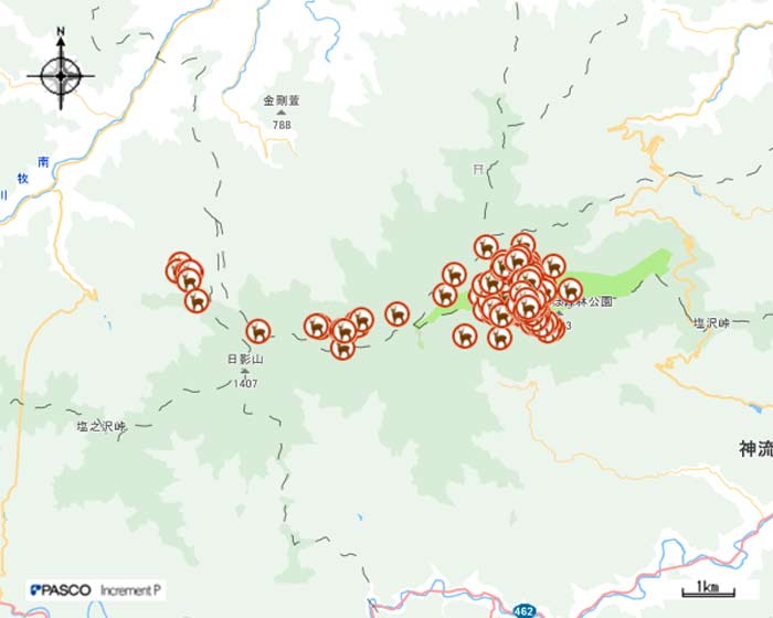 平成30年11月ニホンジカGPS調査画像