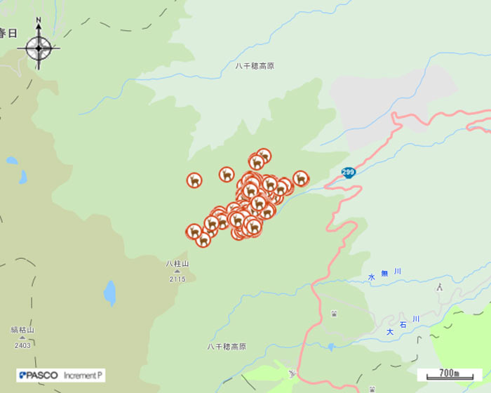 平成31年2月ニホンジカGPS調査画像