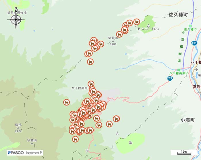 平成31年3月ニホンジカGPS調査画像