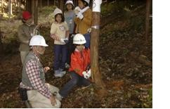 間伐（木の抜き伐り）の様子写真