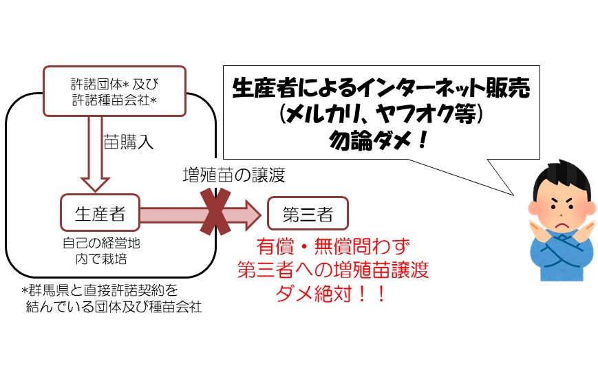 やよいひめ譲渡防止イメージ図の画像