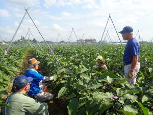 ほ場主による実演の様子の画像