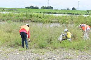 河川敷散乱ごみ状況確認（中流）の写真1