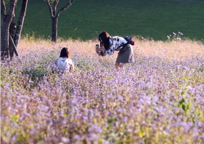 入賞作品（秋を楽しむ）の写真